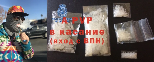 сатива Аркадак