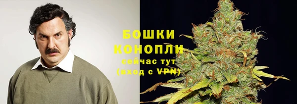 сатива Аркадак