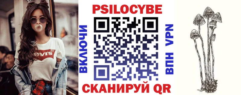 shop как зайти  Порхов  Псилоцибиновые грибы прущие грибы 